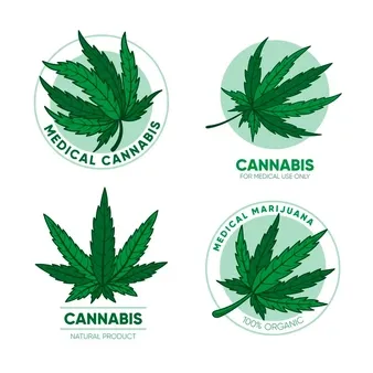 Differences Between Medical and Recreational Marijuana 